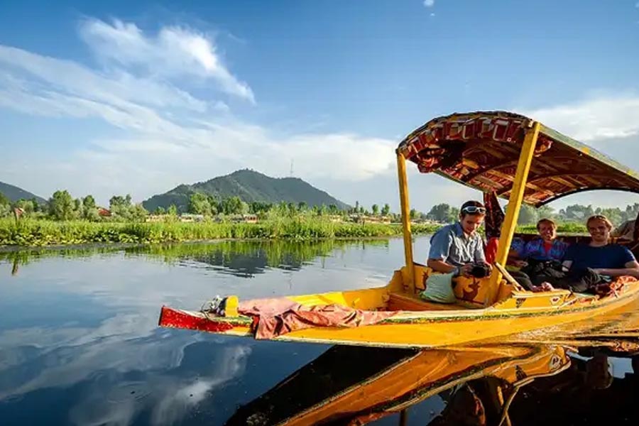 Lorem Ipsum - All the generator