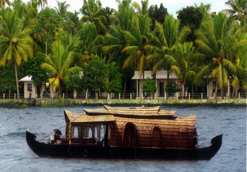 Kerala Nature & Backwater Bliss