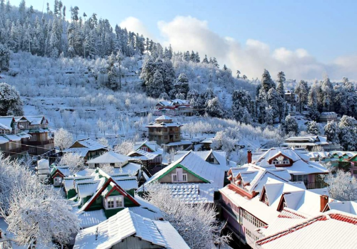 Shimla Volvo Tour Package