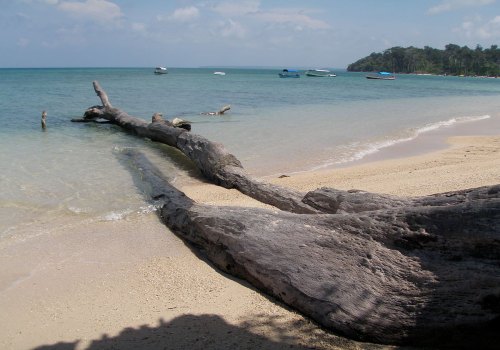 Andaman Bliss – 5 Nights / 6 Days Tour Package