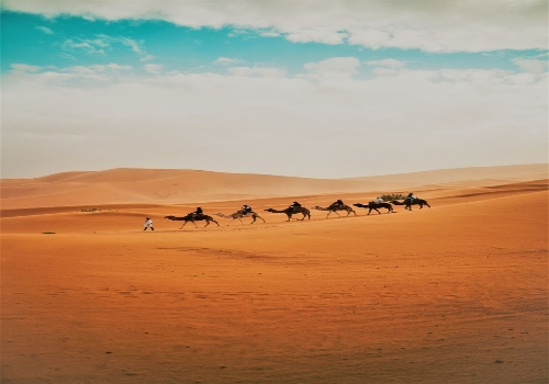 Royal Rajasthan Tour – Jodhpur & Jaisalmer 4 Nights / 5 Days