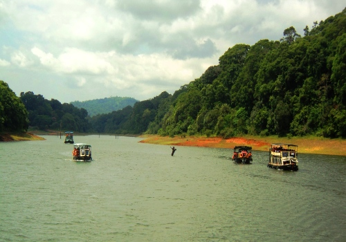 Kerala Hills, Backwaters & Wildlife Tour