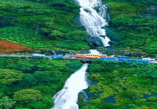 Kerala Retreat – Hills, Wildlife & Backwater Experience